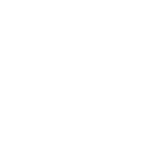 Apple Consultant
