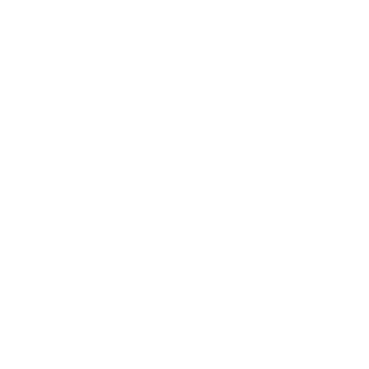 Microsoft Partner